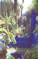 Im Jardin Majorelle